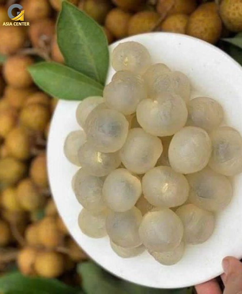Nhãn Lồng